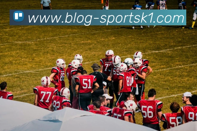 k1体育APP 封面图